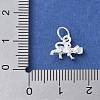 925 Sterling Silver 3D Chinese Zodiac Charms STER-P066-01S-03-3