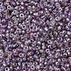 MIYUKI Round Rocailles Beads SEED-JP0008-RR1012-3