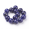 Natural Lapis Lazuli Beads Strands G-G087-14mm-2
