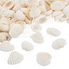 Shell Pendants SSHEL-TA0001-03-2
