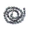 Natural Kambaba Jasper Beads Strands G-S149-39-6mm-3