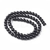 Natural Biotite Beads Strands G-L528-06D-3