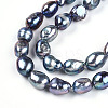 Natural Cultured Freshwater Pearl Beads Strands PEAR-N014-08K-4