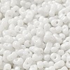 Baking Paint Glass Seed Beads SEED-K009-01A-25-3