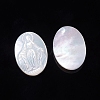 Natural White Shell Cabochons SSHEL-D083-14-2