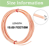 Copper Craft Wire CWIR-WH0007-10C-2