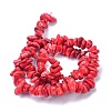 Natural Magnesite Beads Strands TURQ-P001-02A-13-2