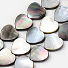 Natural Black Lip Shell Beads Strands SSHEL-Q298-11A-1