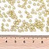 8/0 Glass Seed Beads X1-SEED-A017-3mm-1113-3