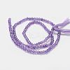 Natural Amethyst Bead Strands X-G-P271-3mm-09-3