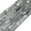 Natural Labradorite Beads Strands G-F631-E22-1