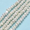 Natural Cultured Freshwater Pearl Beads Strands PEAR-F018-01B-2