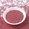 MIYUKI Round Rocailles Beads SEED-G007-RR0425-2