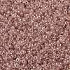 MIYUKI Round Rocailles Beads SEED-X0056-RRHB279-3