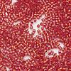 TOHO Japanese Seed Beads SEED-K007-1.5mm-25-2
