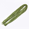 Faux Suede Cord LW-R023-2.8mm-01-2