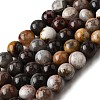 Natural Mexico Crazy Agate Beads Strands G-L615-A01-03-8