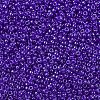 MIYUKI Round Rocailles Beads X-SEED-G007-RR0176-3