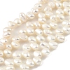 Natural Cultured Freshwater Pearl Beads Strands PEAR-A006-16-2