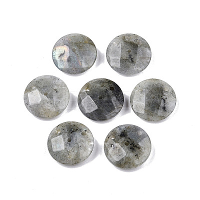 Natural Labradorite Connector Charms G-N326-149A-1