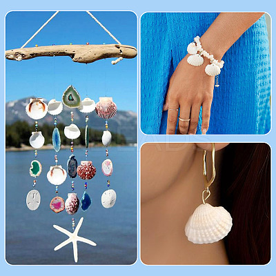 Shell Pendants SSHEL-TA0001-03-1