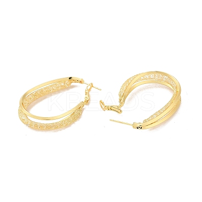 Clear Cubic Zirconia Mesh Round Hoop Earrings EJEW-F308-10G-1