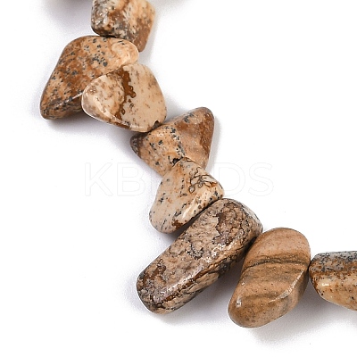 Natural Picture Jasper Nuggets Beads Strands G-B125-A10-01-1