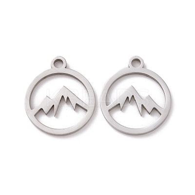 Non-Tarnish 201 Stainless Steel Charms STAS-G281-01P-02-1