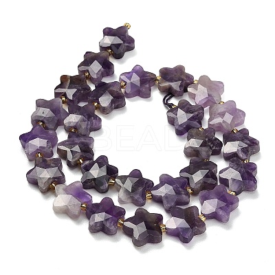 Natural Amethyst Beads Strands G-L657-A08-01-1