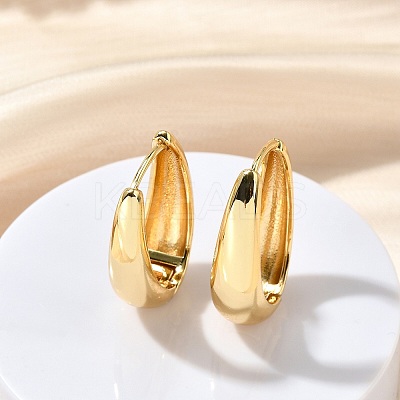 Oval Brass Hoop Earrings EJEW-Z086-08G-1