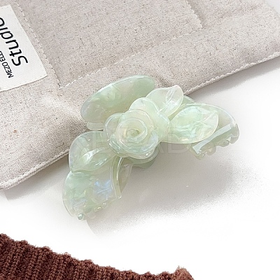 Cellulose Acetate Claw Hair Clips PW-WGF30E1-10-1