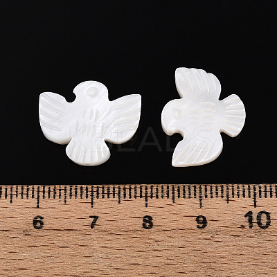Natural Freshwater Shell Carved Beads SHEL-N036-12-1