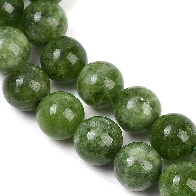 Dyed Natural Malaysia Jade Beads Strands G-G021-02C-13-1