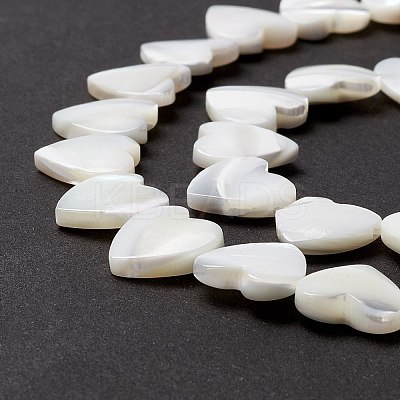 Natural Trochid Shell/Trochus Shell Beads SSHEL-O001-27C-1