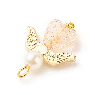 Transparent Acrylic Pendants PALLOY-JF01568-1