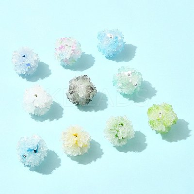 10Pcs 10 Colors Resin Beads RESI-FS0002-24A-1