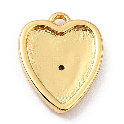 Brass Micro Pave Cubic Zirconia Charms ZIRC-I054-14G-03-1