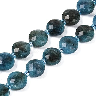 Natural Apatite Beads Strands G-B094-A27-01-1