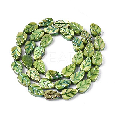 Natural Freshwater Shell Carved Beads Strands SHEL-N038-25C-1