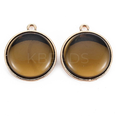 Glass Pendants PALLOY-N167-09-01LG-RS-1
