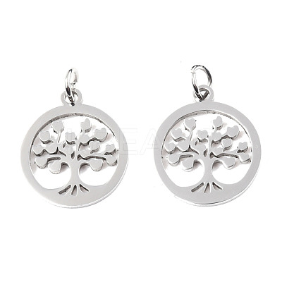 Non-Tarnish 304 Stainless Steel Pendants STAS-T046-JA350-1-1