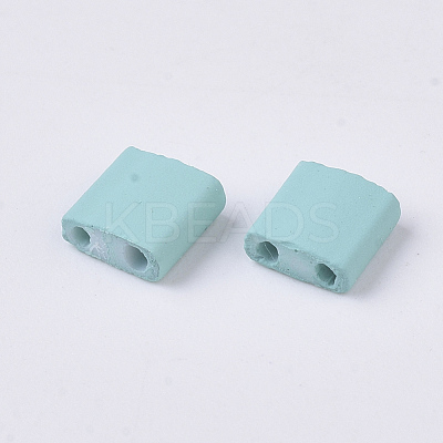 2-Hole Glass Seed Beads SEED-S023-31C-05-1