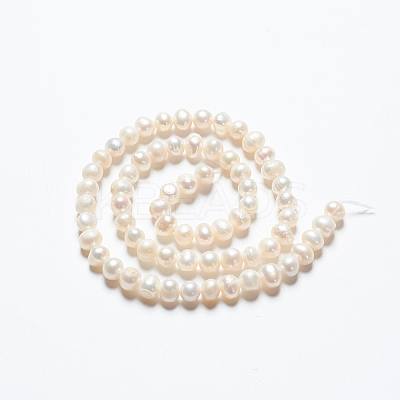 Natural Cultured Freshwater Pearl Beads Strands A23WT011-1