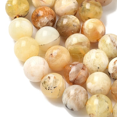 Natural Yellow Opal Beads Strands LS-G-I213-18-8mm-1