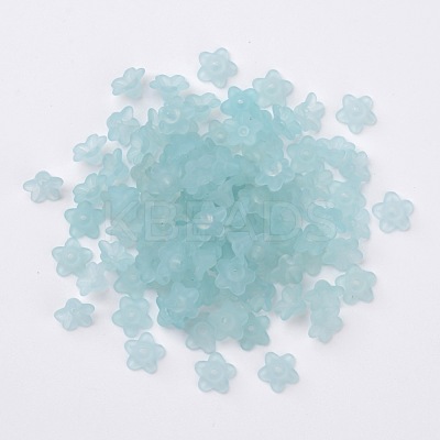 Transparent Acrylic Beads X-PL554-11-1