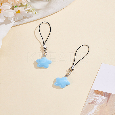 2Pcs Agate Mobile Straps HJEW-LP0001-46A-1
