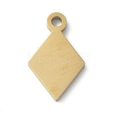304 Stainless Steel Charms LS-STAS-E501-05G-1