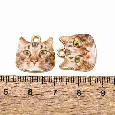 Alloy Enamel Pendants ENAM-V002-04G-01-1