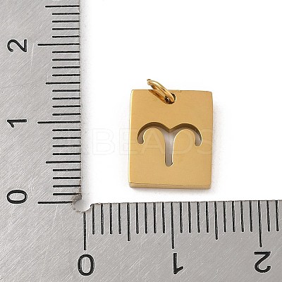 304 Stainless Steel Charms STAS-R001-03G-01-1