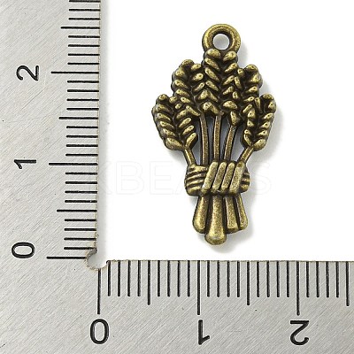Tibetan Style Alloy Pendants TIBE-I026-6015AB-1